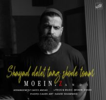 دانلود آهنگ جدید معین زندی به نام شاید دلت تنگ شده توام